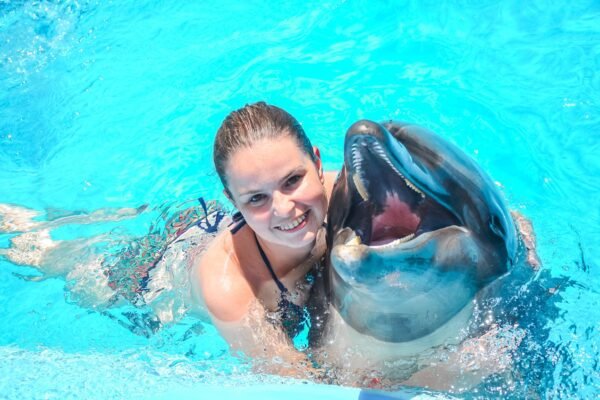 Swim with dolphins in a pool