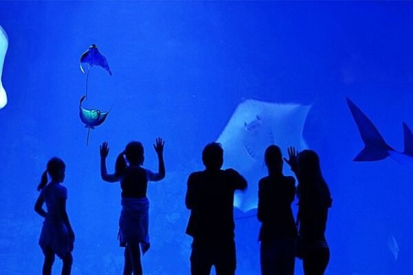 Grand Aquarium Hurgada