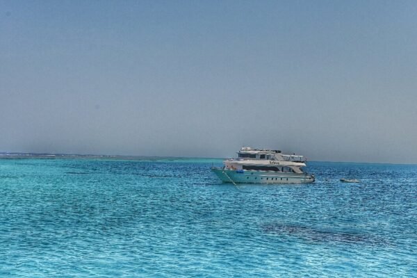 Dolphin House Sataya Reef Snorkeling Cruise from Marsa Alam