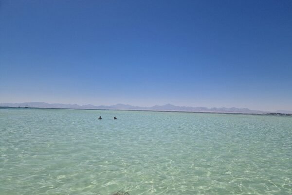 all in one Orange Bay and Diving