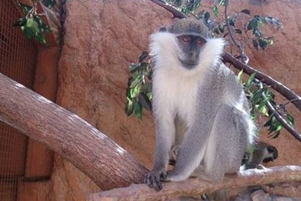 Grand Aquarium Hurgada