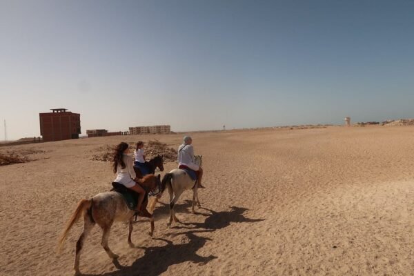 all in one Orange Bay and Diving